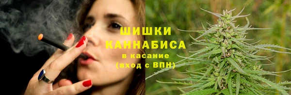 бошки Алексин