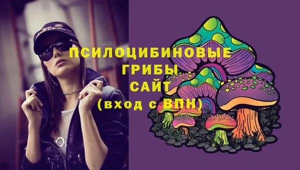 бошки Алексин